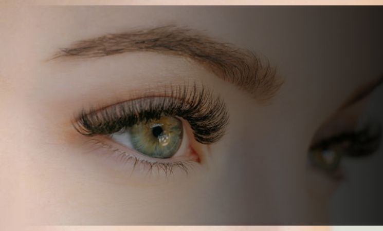 how long does it take for eyelashes to grow back