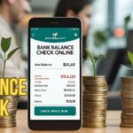 fab balance check