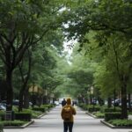 Green Movement on College Campuses